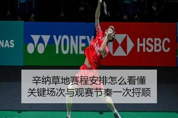 辛纳草地赛程安排怎么看懂 关键场次与观赛节奏一次捋顺
